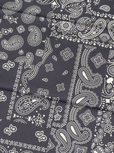 Load image into Gallery viewer, CHARCOAL Paisley Creek Wild Rag
