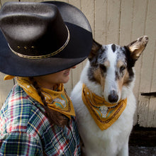 Load image into Gallery viewer, Western Bandana
