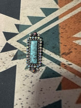 Load image into Gallery viewer, Western Theme Semi Precious Stone Brim Hat Clip
