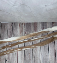 Load image into Gallery viewer, Natural Edge Axis Deer Hat Bands
