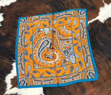 Load image into Gallery viewer, Multi Colored Paisley Mini Wild Rags
