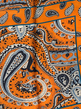 Load image into Gallery viewer, Multi Colored Paisley Mini Wild Rags
