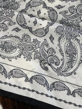 Load image into Gallery viewer, Multi Colored Paisley Mini Wild Rags
