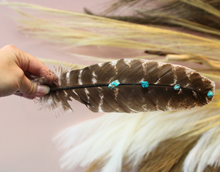 Load image into Gallery viewer, Turquoise Studded Premium Natural Barred Turkey Feathers
