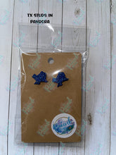 Load image into Gallery viewer, Texas Earrings
